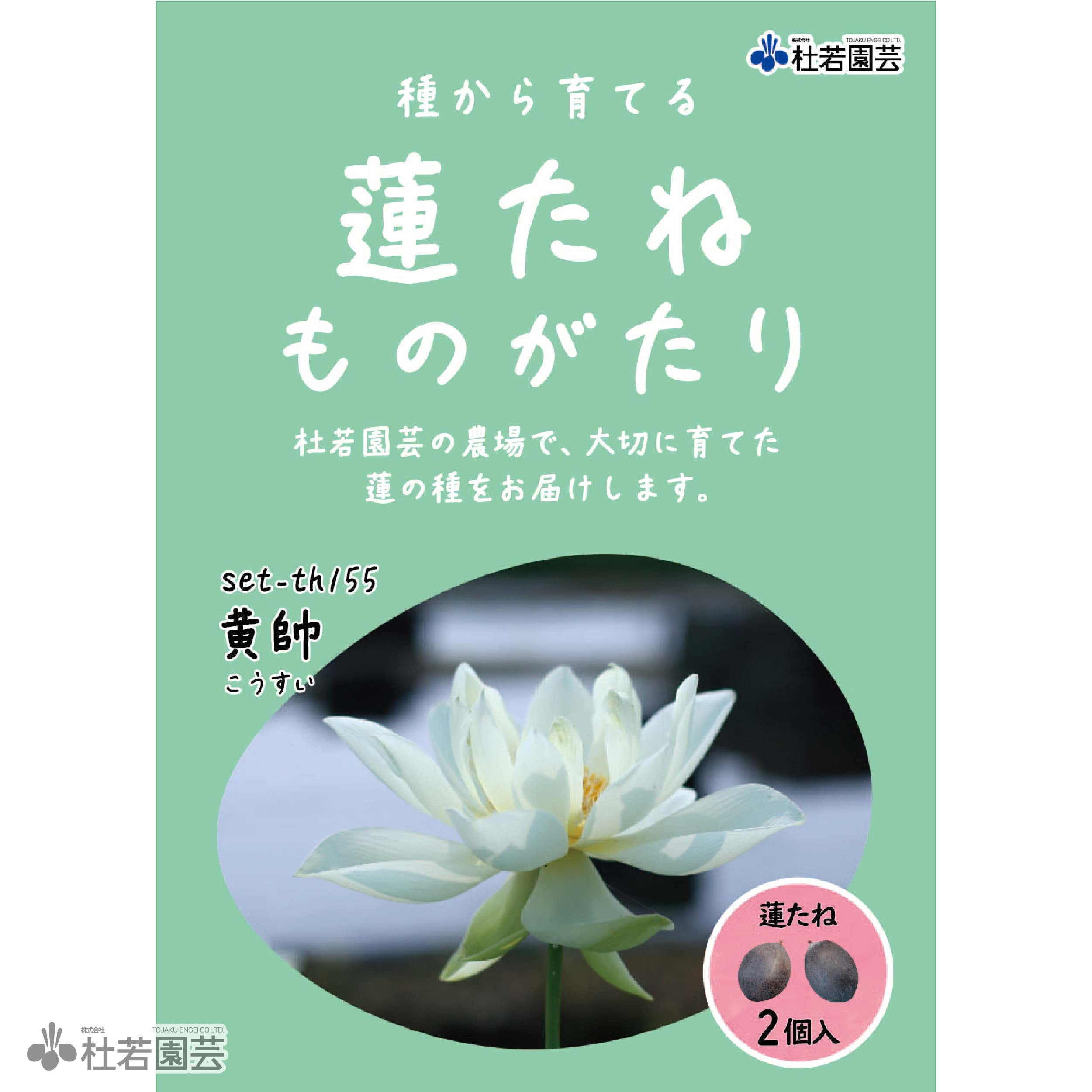 【皐月　大品】『華宝』 縦72cm 根張り・枝順良好 花芽多 開花まで限定価格 最上木大株立【翠宝】 - 東洋蘭専門店 花ごよみ | 春蘭・富貴蘭など