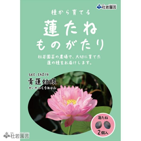 5袋までメール便対応】蓮たねものがたり-青蓮姑娘(せいれんくうにゃん 5袋までメール便対応】蓮たねものがたり-青蓮姑娘(せいれんくうにゃん