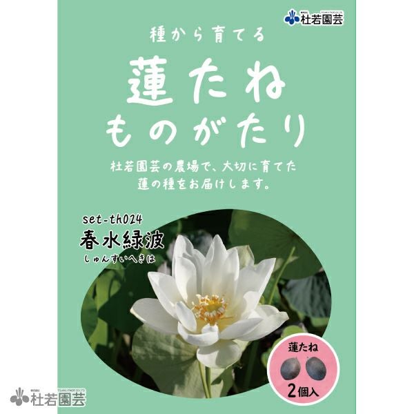 5袋までメール便対応】蓮たねものがたり-春水緑波（しゅんすいへきは