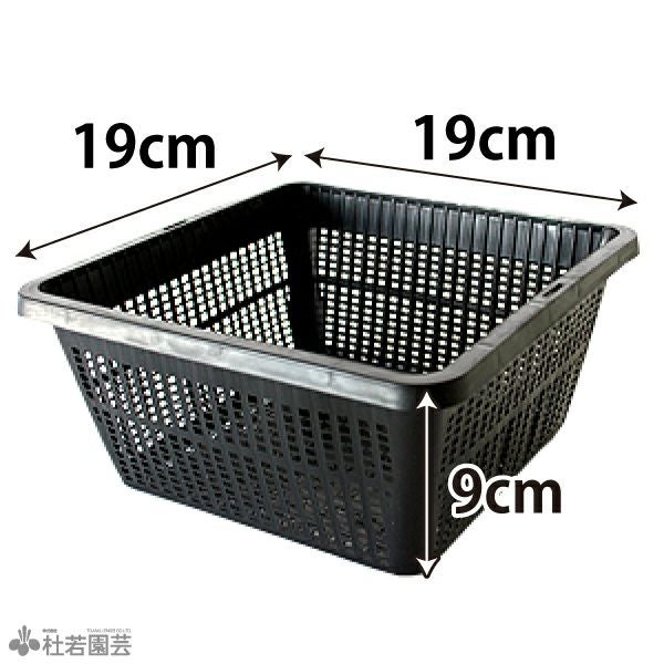 椀カゴ　大サイズ 植物カゴ（19cm角） | 杜若園芸WEBショップ｜水草の生産販売【通販