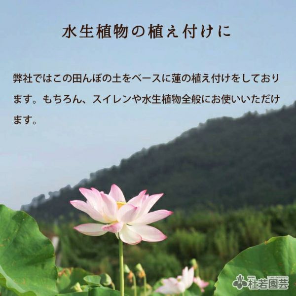 田んぼの土 4.5リットル | 杜若園芸WEBショップ｜水草の生産販売【通販
