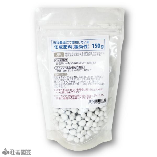 水生植物】 オオオニバスの種 5粒入り | 杜若園芸WEBショップ｜水草の