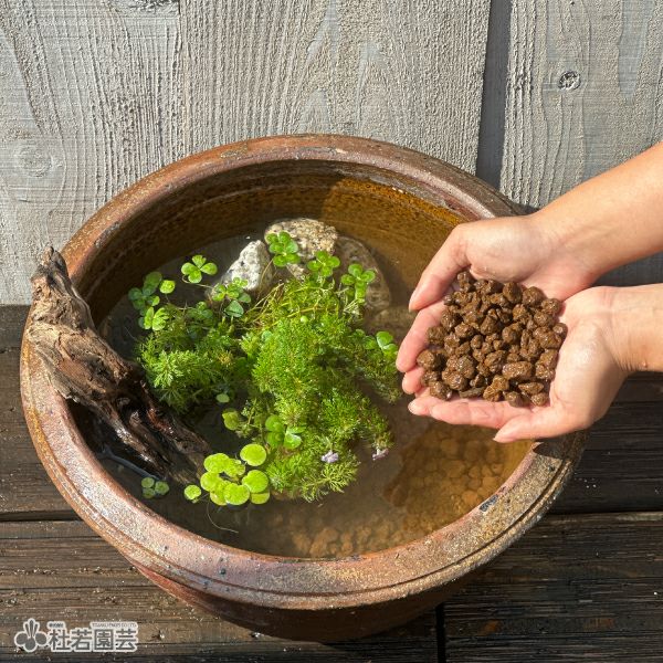 メダカにおすすめ！】 水質浄化土（中粒）2L | 杜若園芸WEBショップ