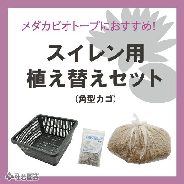 オトメドメイン　スリーブ4種セット 000000000978-01.jpg?size=l&w=