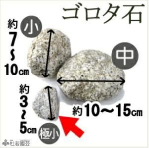 000000000985-01.jpg?size=m&w=