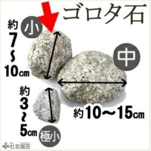 大きさ不揃い 溶岩石パック 【水質浄化に！】 | 杜若園芸WEBショップ