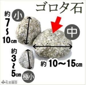 ビオトープづくりの必需品◇ゴロタ石 中 | 杜若園芸WEBショップ｜水草