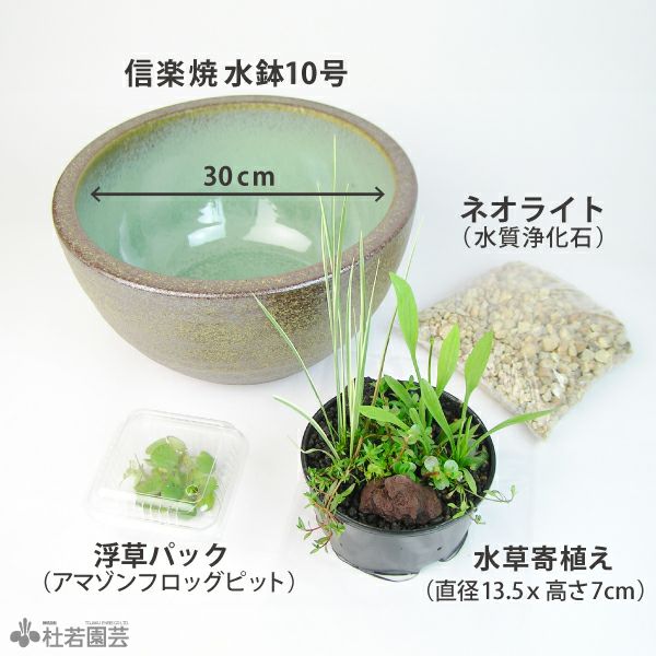 癒しの水景づくり 4点セット（アマゾンフロッグピット付き！） | 杜若