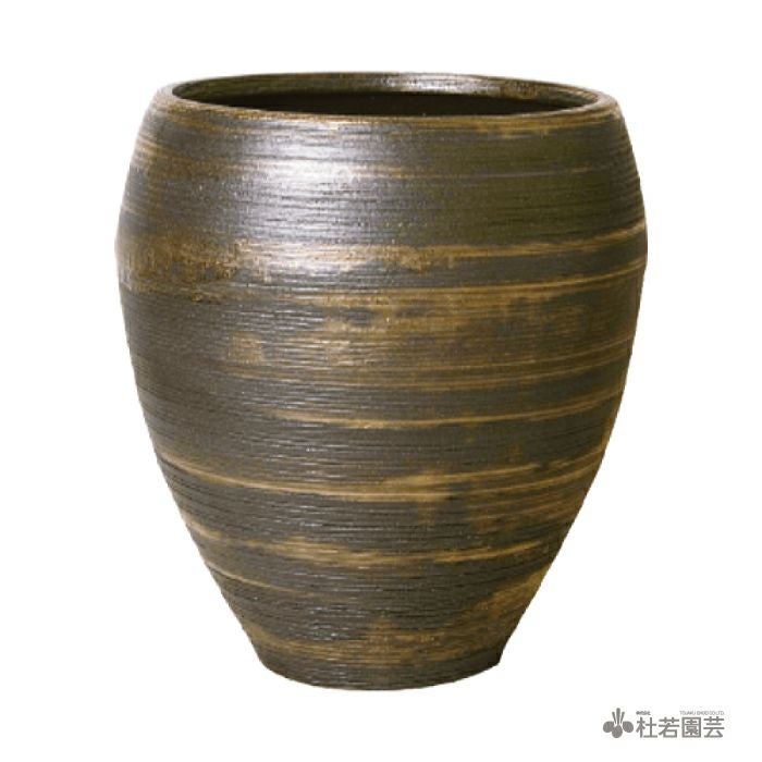 Stratus Long [ストラトス ロング] S | 杜若園芸WEBショップ｜水草の