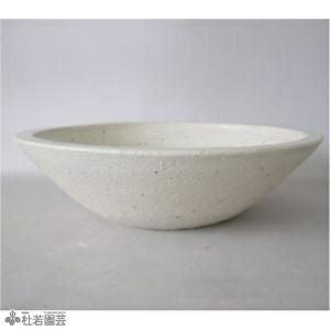 信楽焼オリジナル水鉢 Niko 白サカヅキ型 水鉢 中 | 杜若園芸WEB