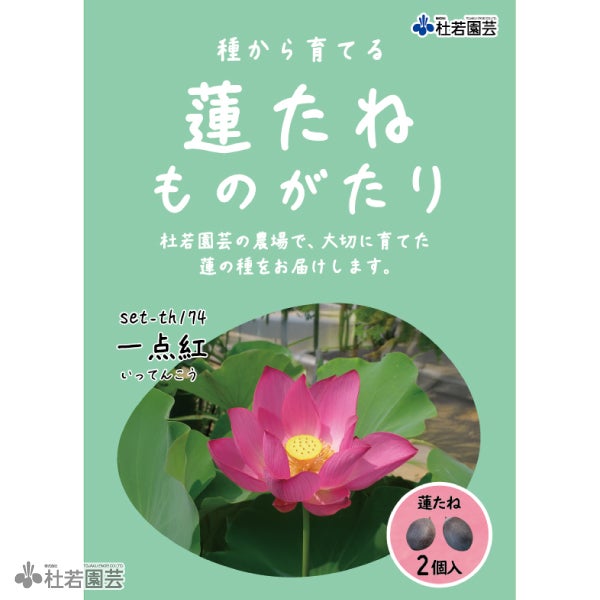 5袋までメール便対応】蓮たねものがたり-一点紅(いってんこう)【大型種