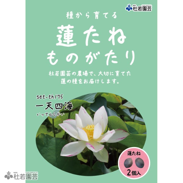 5袋までメール便対応】蓮たねものがたり-一天四海(いってんしかい