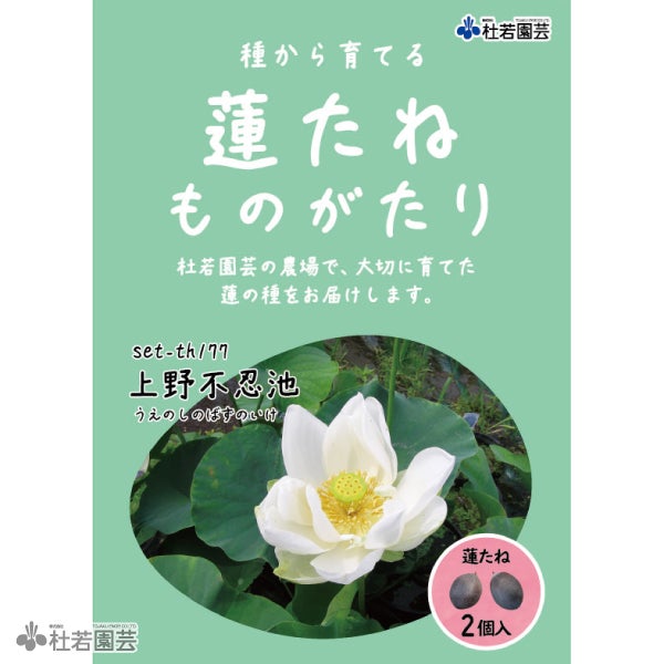 5袋までメール便対応】蓮たねものがたり-上野不忍池（うえのしのばずの