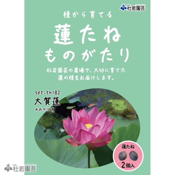 5袋までメール便対応】蓮たねものがたり-大賀蓮(おおがはす)【中・大型