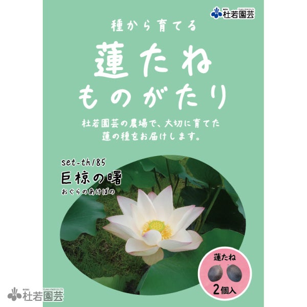 5袋までメール便対応】蓮たねものがたり-東湖白蓮(とうこびゃくれん