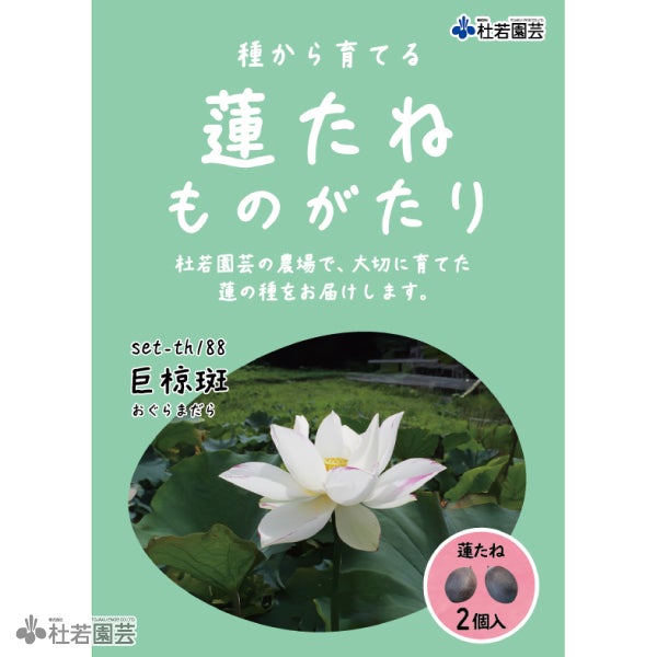 巨椋斑（おぐらまだら）