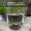 https://tojaku.itembox.design/item/image/set-th001_wm-03.jpg?d=20260205093506