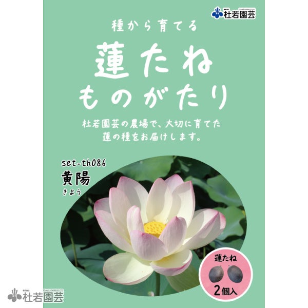 5袋までメール便対応】蓮たねものがたり-厦門碗蓮 【小型種】 | 杜若