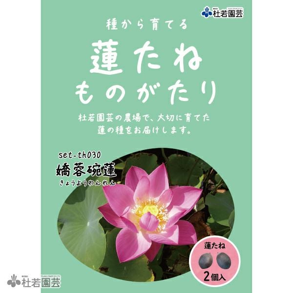 源右衛門　蓮華 全商品 ｜ 有田焼の源右衛門窯公式オンラインショップ