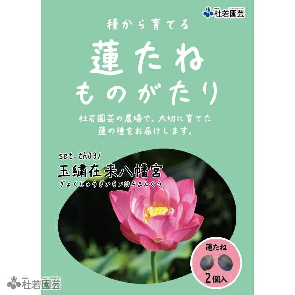 5袋までメール便対応】蓮たねものがたり-玉繍在来八幡宮（ぎょくしゅ