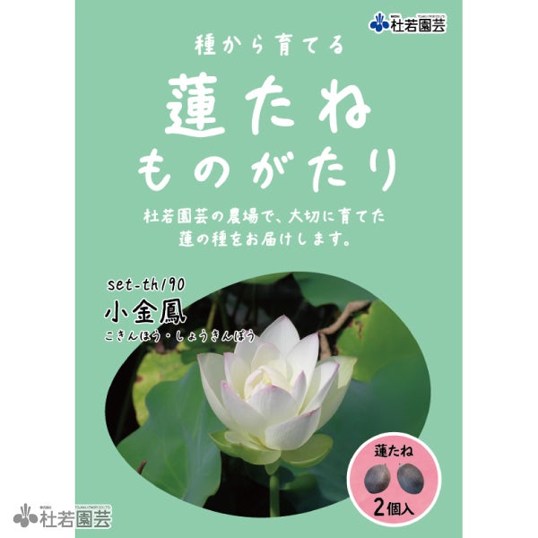 小金鳳（こきんほう・しょうきんぽう）