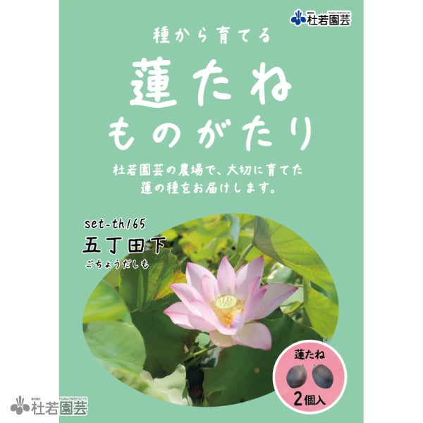 5袋までメール便対応】蓮たねものがたり-一天四海(いってんしかい