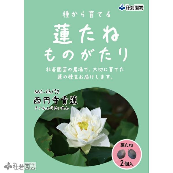 5袋までメール便対応】蓮たねものがたり-西円寺青蓮（さいえんじせい