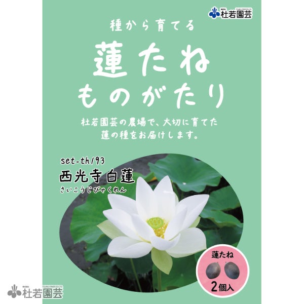 5袋までメール便対応】蓮たねものがたり-彦根城蓮（ひこねじょうはす