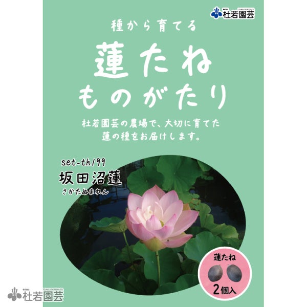 5袋までメール便対応】蓮たねものがたり-東湖春暁（とうこしゅんぎょう