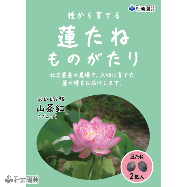5袋までメール便対応】蓮たねものがたり-錦蕊蓮(きんずいれん)【大型種