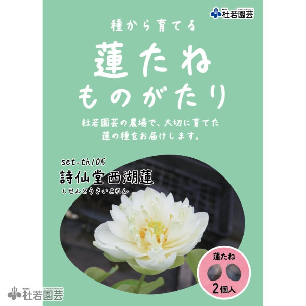 5袋までメール便対応】蓮たねものがたり-詩仙堂西湖蓮（しせんどうさい