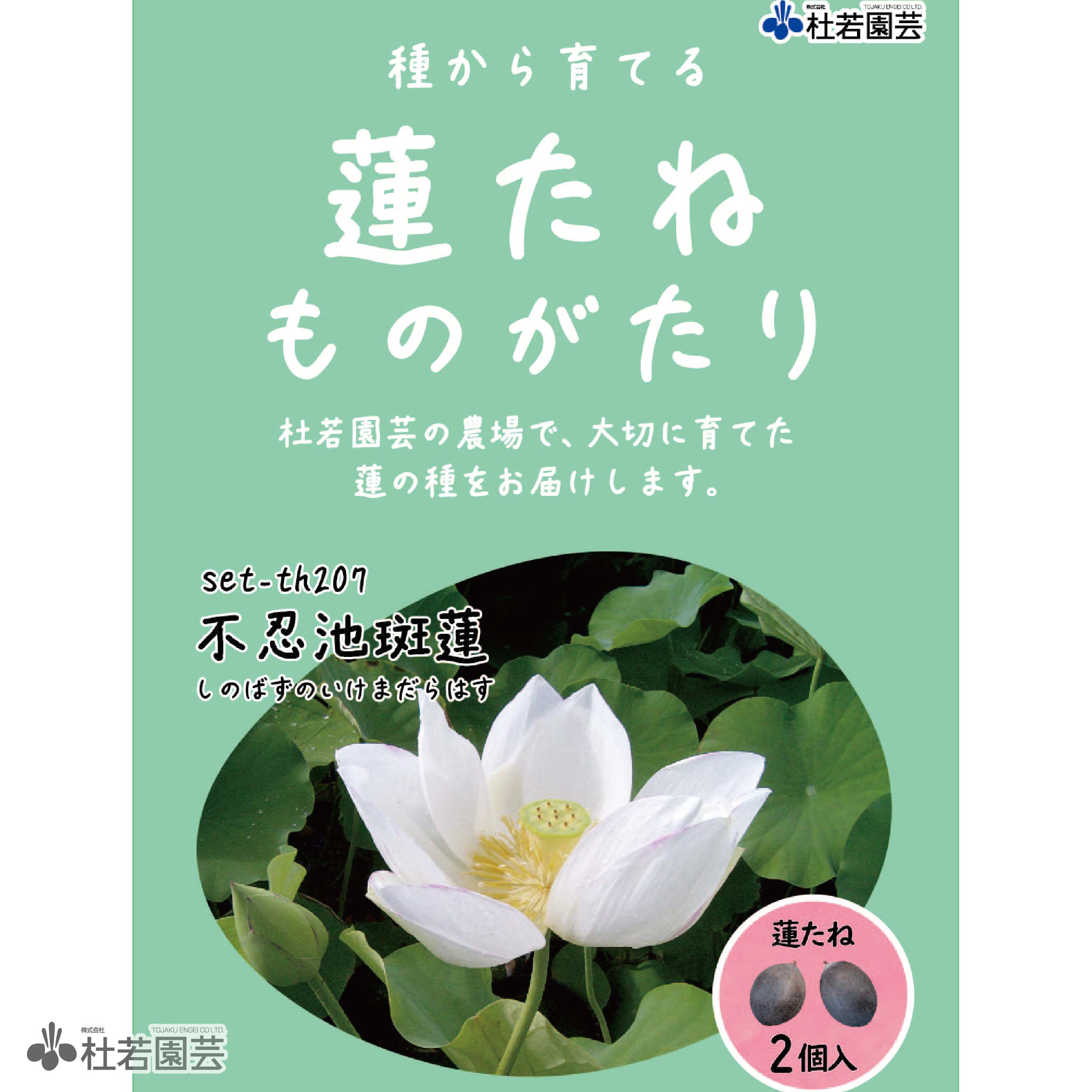 5袋までメール便対応】蓮たねものがたり-不忍池斑蓮（しのばずのいけ