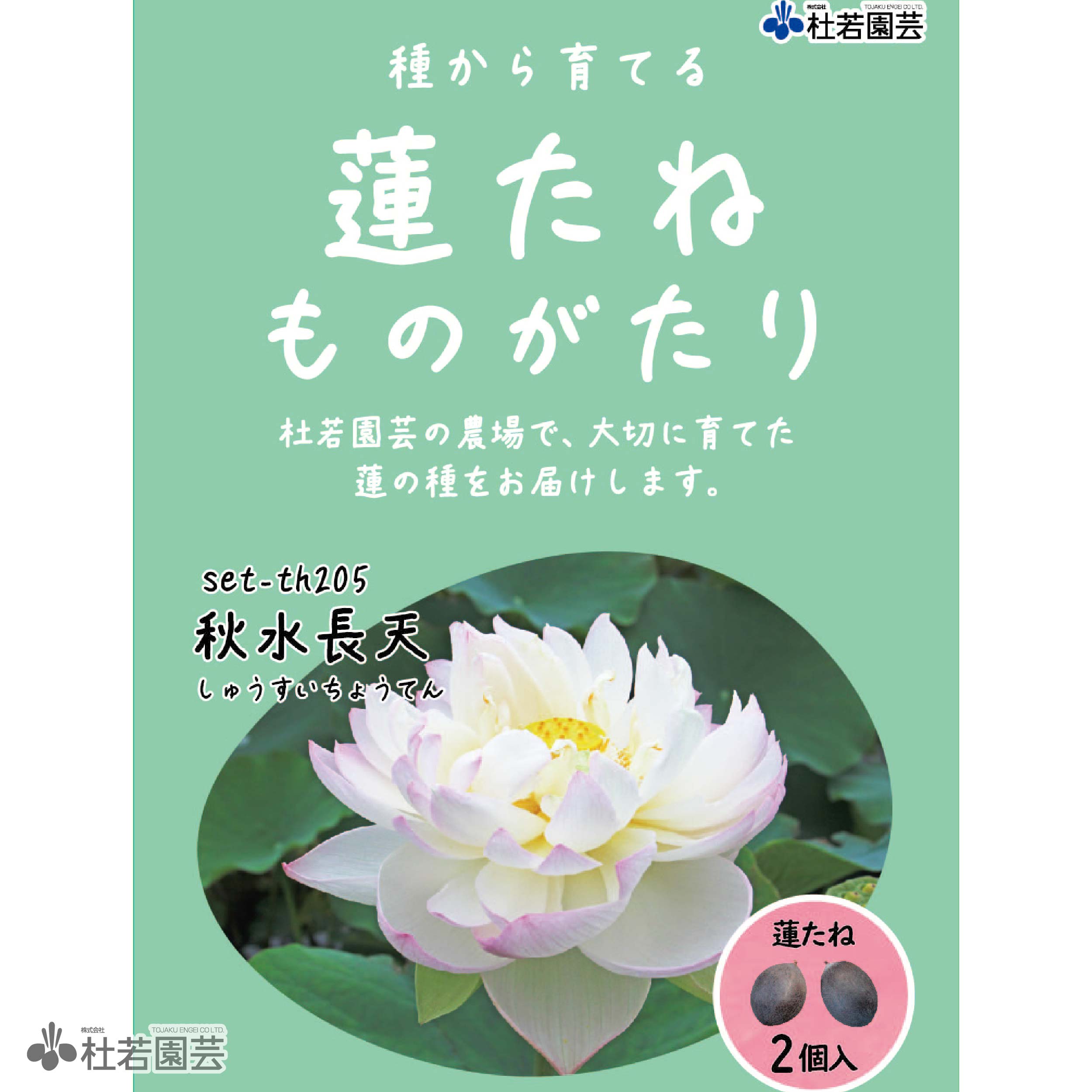 5袋までメール便対応】蓮たねものがたり-秋水長天（しゅうすいちょう