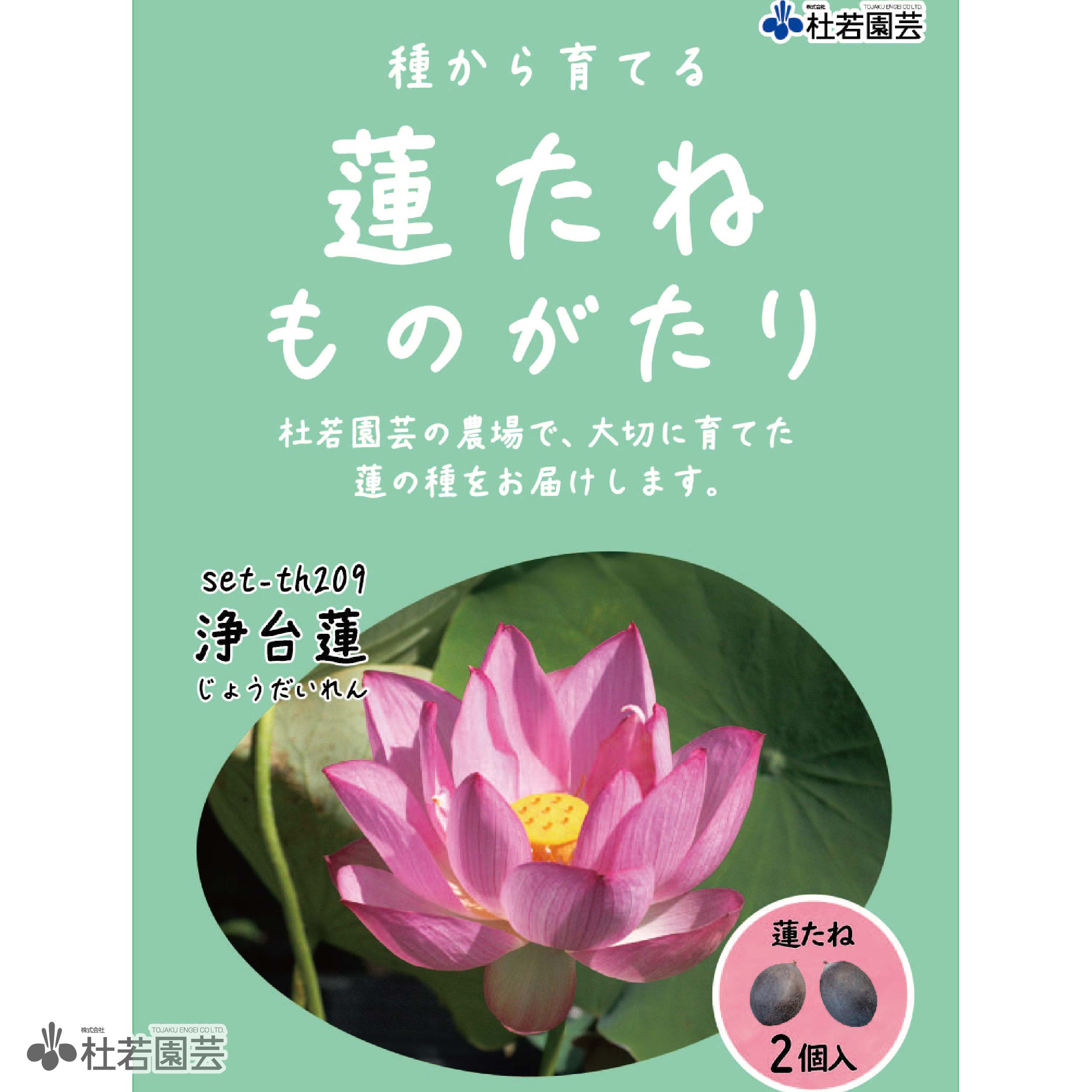 5袋までメール便対応】蓮たねものがたり-浄台蓮（じょうだいれん）【中