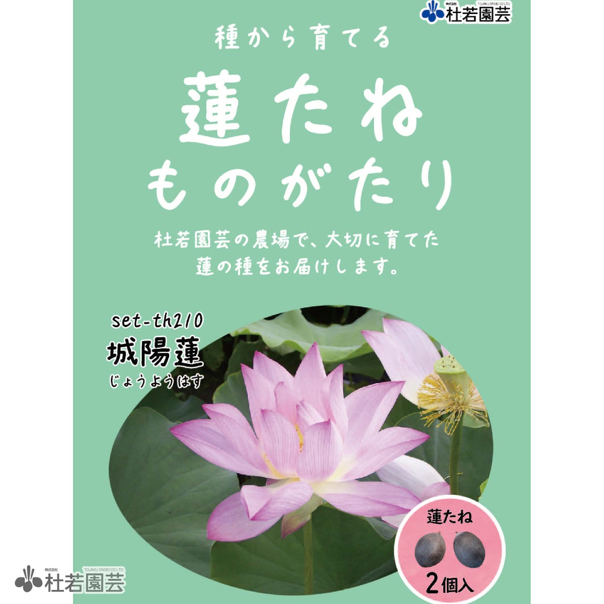 城陽蓮