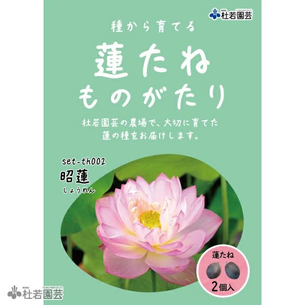 5袋までメール便対応】蓮たねものがたり-昭蓮（しょうれん）【小型種