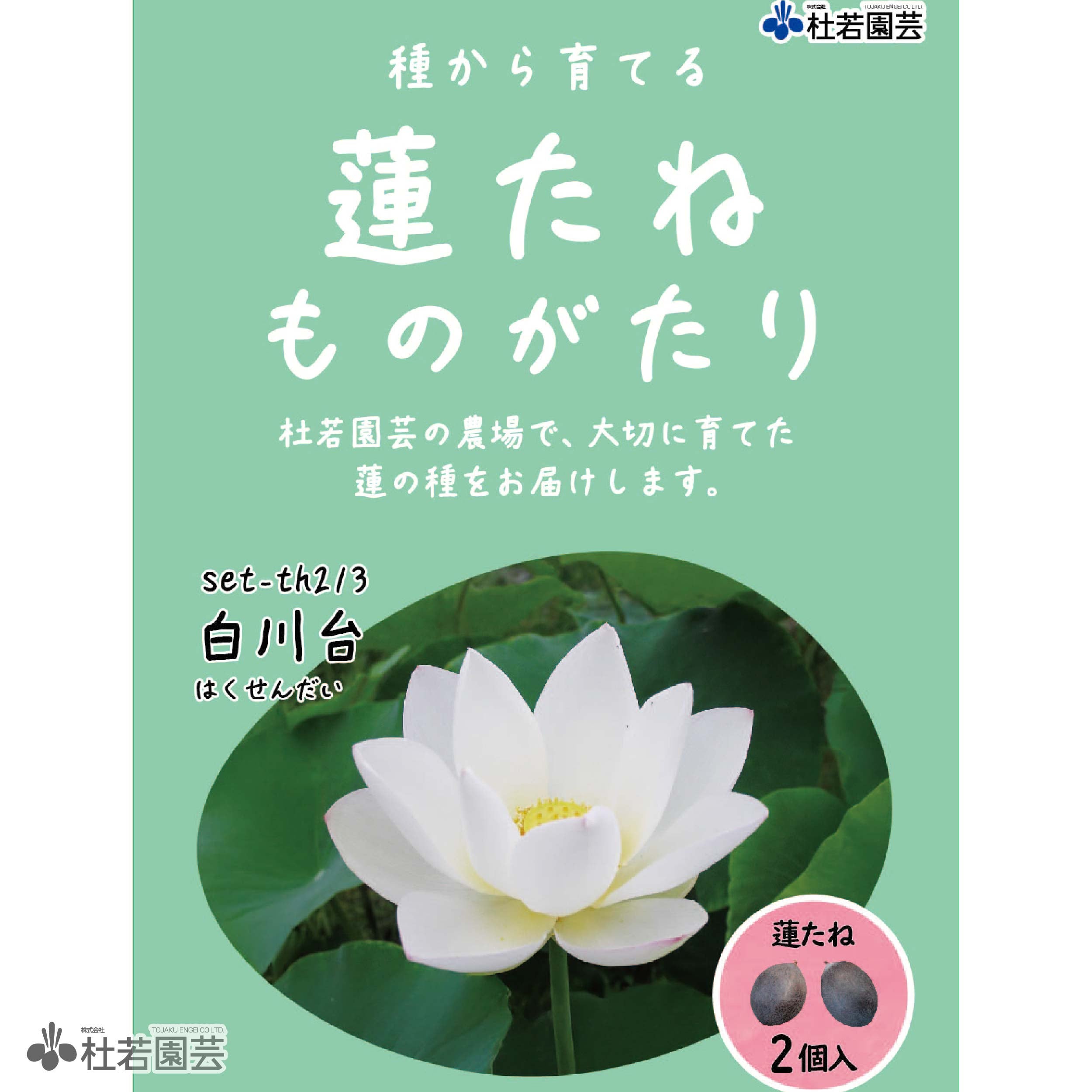 5袋までメール便対応】蓮たねものがたり-白川台（はくせんだい）【中
