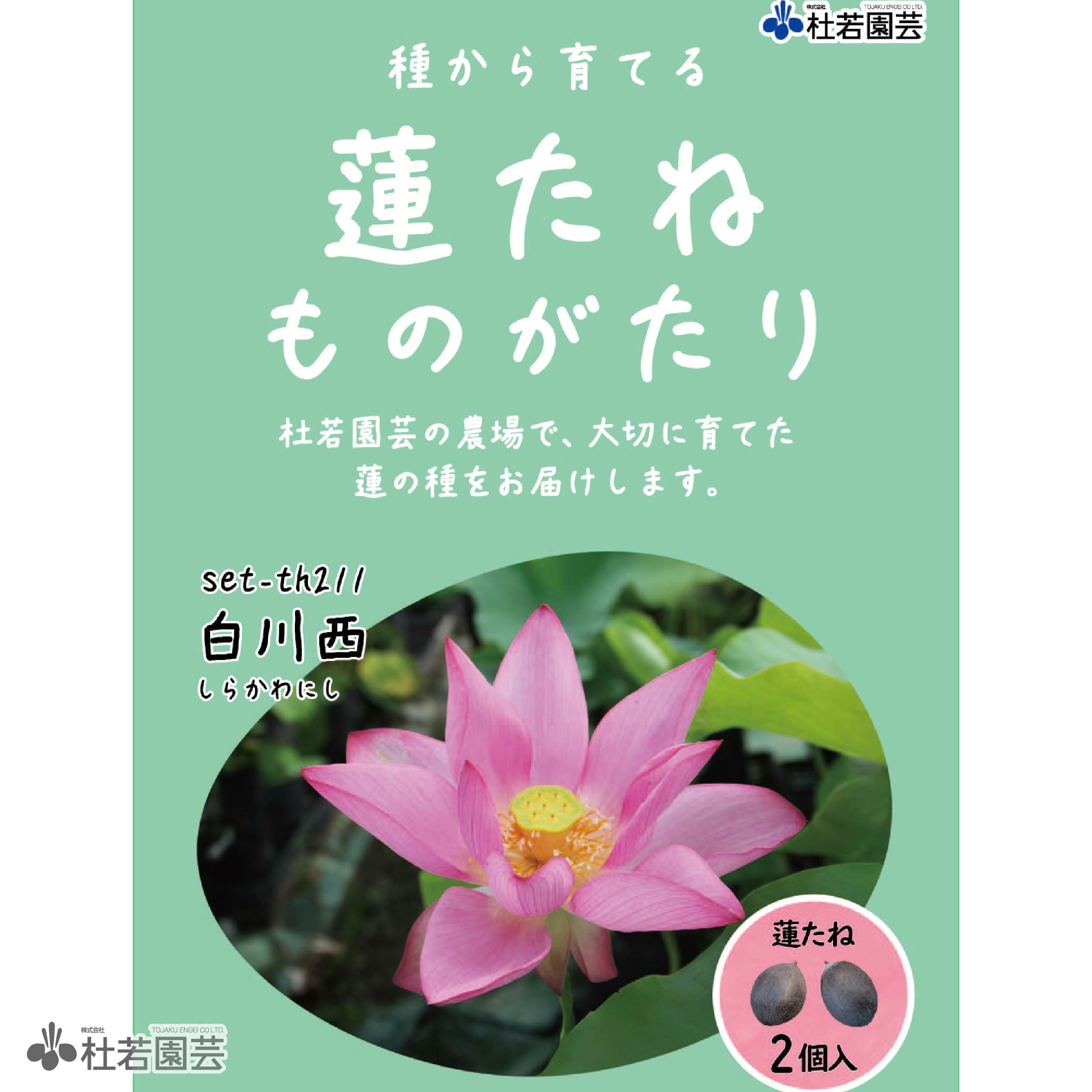5袋までメール便対応】蓮たねものがたり-浄台蓮（じょうだいれん）【中