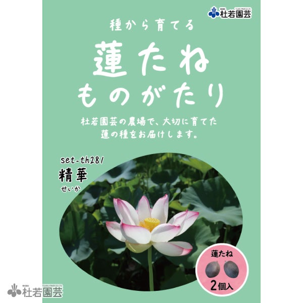 5袋までメール便対応】蓮たねものがたり-中国食実蓮(ちゅうごくしょく
