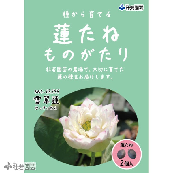 5袋までメール便対応】蓮たねものがたり-雪翠蓮(せっすいれん)【小型種