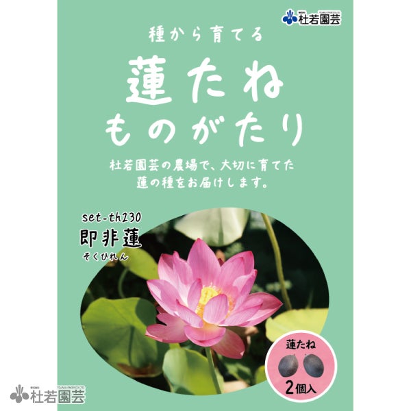 ②蓮ページ即発送 蓮、ハス】即非蓮(そくひれん)【小～中型】 | 杜若園芸WEBショップ