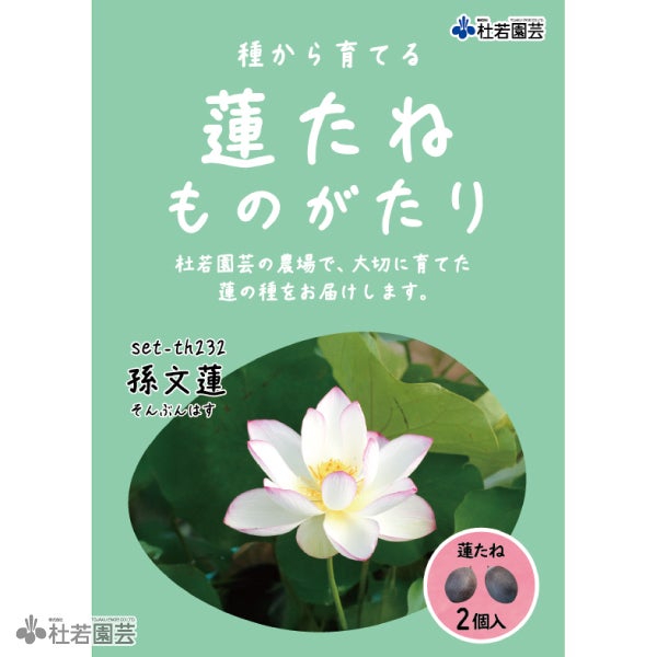 5袋までメール便対応】蓮たねものがたり-即非蓮(そくひれん)【小・中型