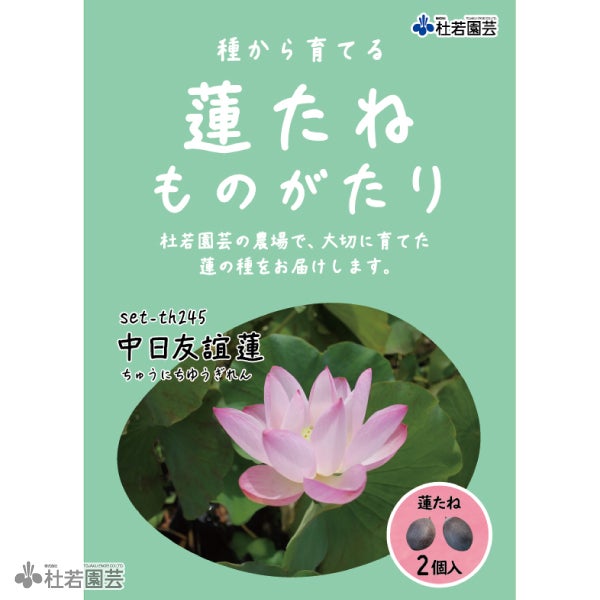 5袋までメール便対応】蓮たねものがたり-中日友誼蓮(ちゅうにちゆうぎ