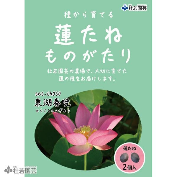 5袋までメール便対応】蓮たねものがたり-東湖春暁（とうこしゅんぎょう