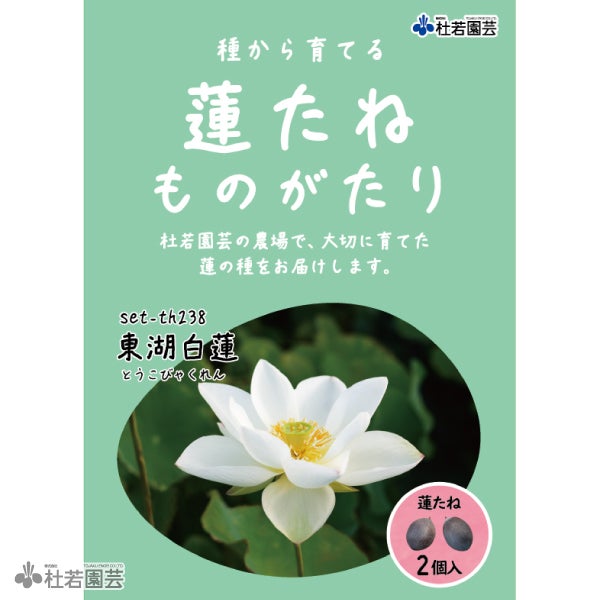 5袋までメール便対応】蓮たねものがたり-東湖白蓮(とうこびゃくれん
