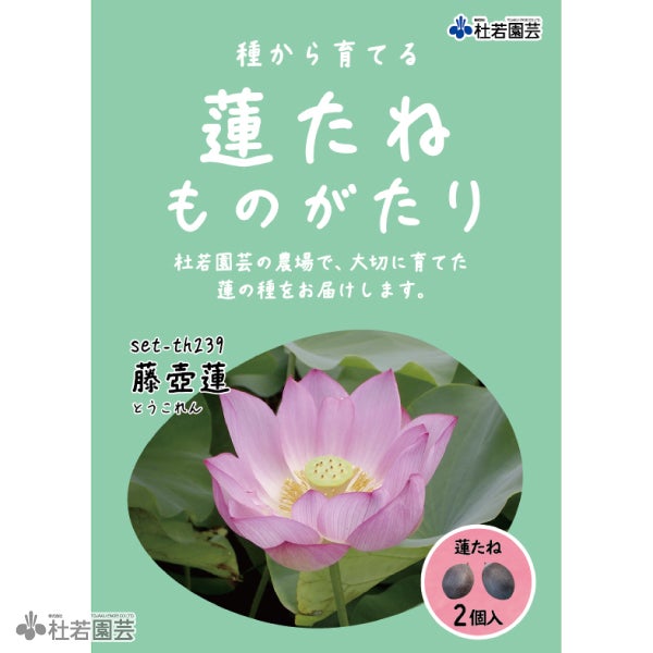 5袋までメール便対応】蓮たねものがたり-紫玉蓮(しぎょくれん)【小型種