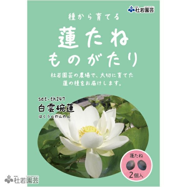 蓮の花をモデルにネアリカで作りました。 蓮ノ三連華の卒業献上フィギュア 103期生も卒業しました。花帆の視点