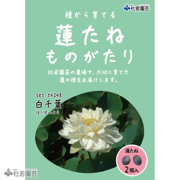 5袋までメール便対応】蓮たねものがたり-小三色蓮（しょうさんしょ