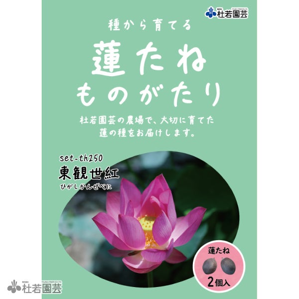 5袋までメール便対応】蓮たねものがたり-不忍池斑蓮（しのばずのいけ