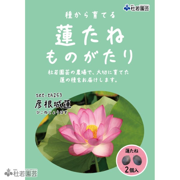 5袋までメール便対応】蓮たねものがたり-中国食実蓮(ちゅうごくしょく